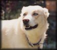 go to large profile of Poobah