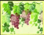 Grapes1TN