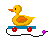 duck toy