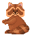 racoon