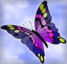 butterfly