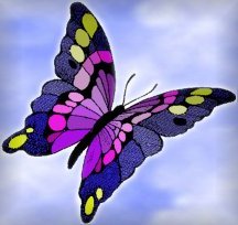 butterfly