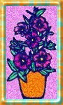 small pansies