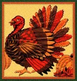 turkey