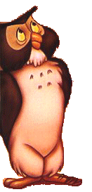 owl