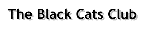 The Black Cat's Club