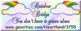 The Rainbow Bridge