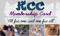 The Kitty Cat Club