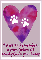 Paws to Remember