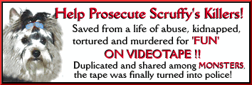 Justice For Scruffy