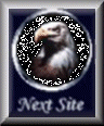 next.gif