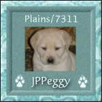 JPPeggy Quilt Block