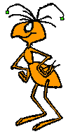 Ant