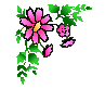 Corner Flowers