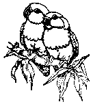 Parrots To Color