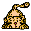 Scardy Cat