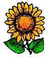 Orange Sunflower Bespeckeled