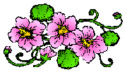 Three Flowers