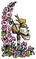 Mailbox and Flowers
