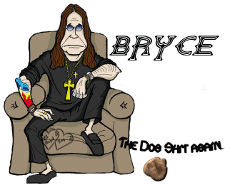 BRYCEbyCaseyCoon