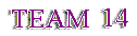 Team 14