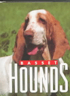 Basset Hounds(Little Books)