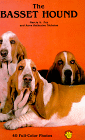 The Basset Hound