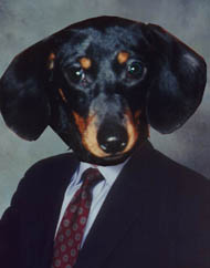 Gretel,  Attorney ankle biter, swine killer and friend.  BOY DOES SHE HATE SOCIALIST, LIBERAL, FAG LOVING HATE HATERS!