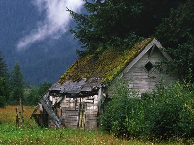 f001.jpg
