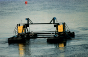 photo c