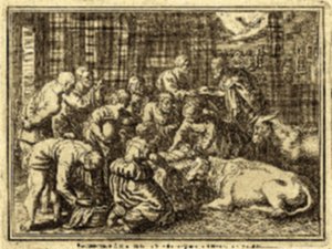 Nativity