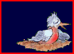 bird in nest
