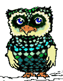 owl