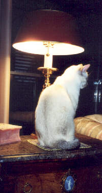 Sabrina