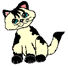 blck_yellow.gif (2692 bytes)