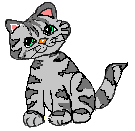 grey_tabby_1.gif (3240 bytes)