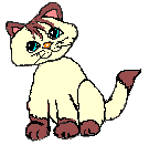 siamese_1.gif (2820 bytes)