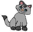 siamese_2.gif (2681 bytes)