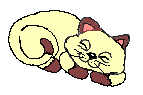 siamese_sleeping1.gif (2271 bytes)