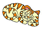 tabby_sleeping1.gif (2758 bytes)