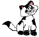 wht_blck.gif (2596 bytes)