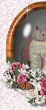 pams000.gif (21936 bytes)