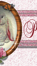 pams001.gif (28821 bytes)