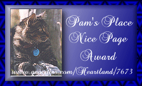 nicepage_award.gif (35115 bytes)