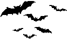 Bats
