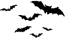 Bats
