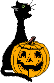 Cat and Pumpkin