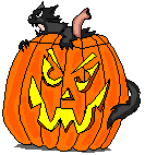 Cat and Pumpkin
