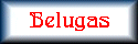 Beluga Whales Page