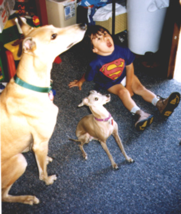 Dog and Thomas
